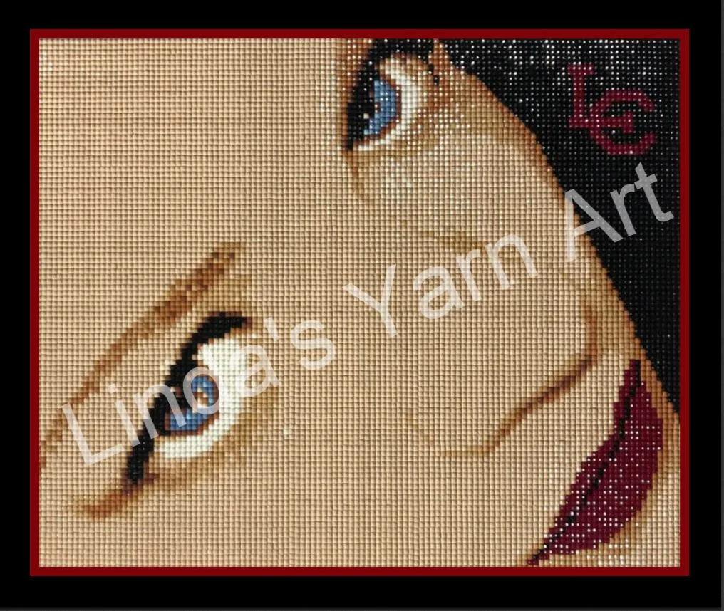 MELISSA DP FAKE FRAME copy (watermark)