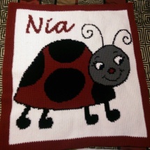 customer-crochet-art Naomi's ladybug