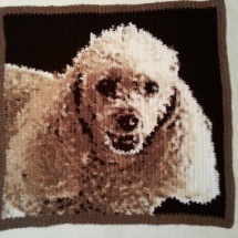 customer-crochet-art phyllis Rocky